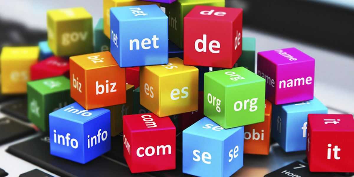 Tips Memilih Domain Profesional untuk Website Portofolio Pribadi